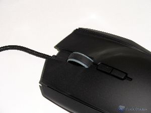 taipan 4